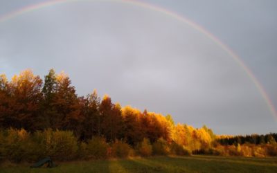 Forststeig (Elbsandsteingebirge)
